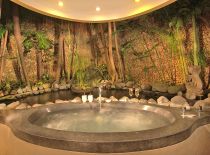 Villa Kubu Premium Spa 1 Bedroom, Jacuzzi